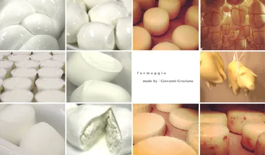 チーズイメージ