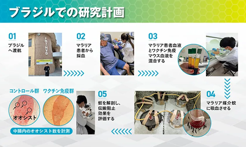 現地での研究計画