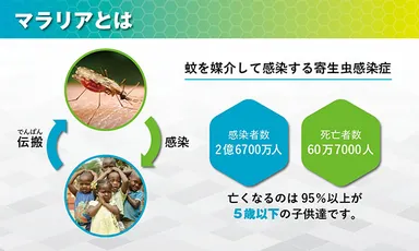 マラリアとは？