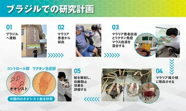 現地での研究計画