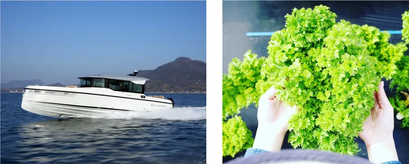 SAXDOR、しまなみリーフ