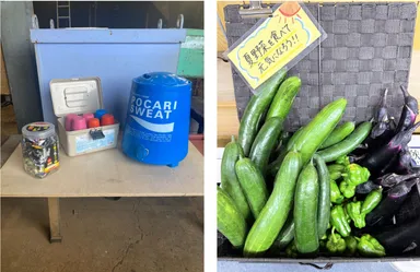熱中症対策と自家栽培野菜提供