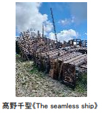 画像7