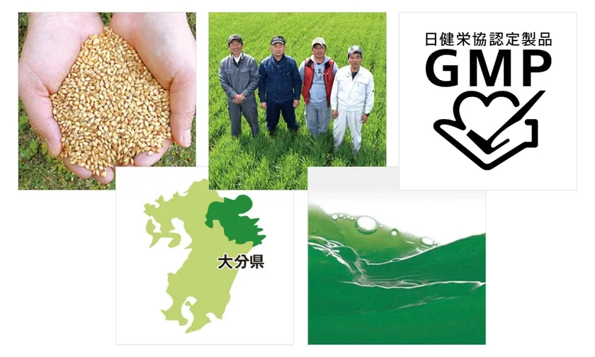 商品特徴:品種、産地、栽培、風味、認定