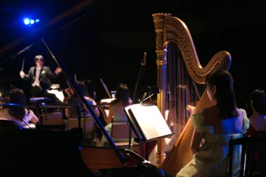 オーケストラ演奏イメージ3