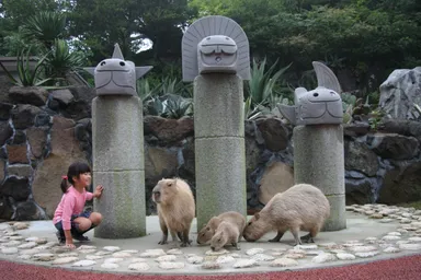 伊豆シャボテン公園 カピバラ虹の広場