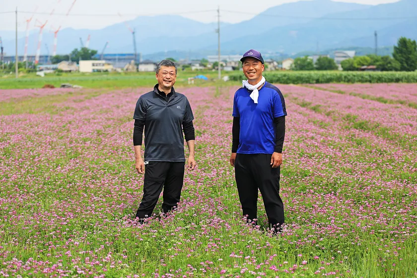 自社圃場をれんげが彩る