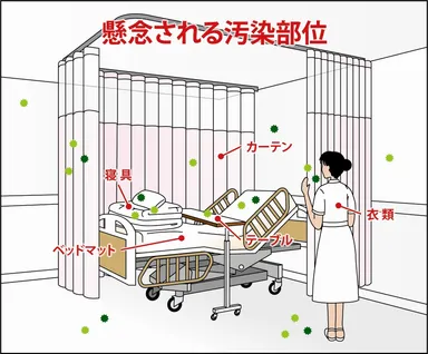 懸念される汚染部位