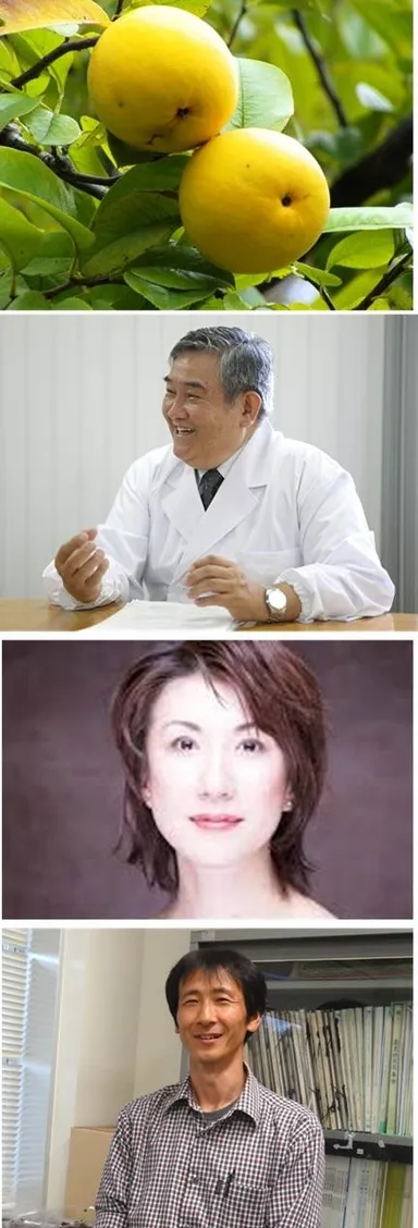 カリンで風邪予防普及会 委員