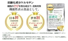 延寿花 ケルセフィット