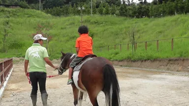 ポニーの曳き馬