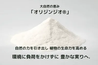 オリジンジオ(R)