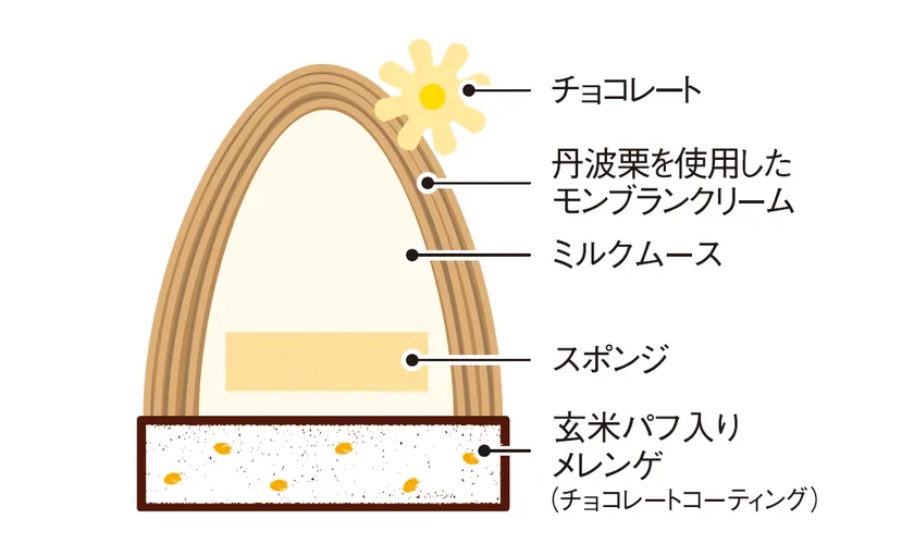 プレーン/断面図