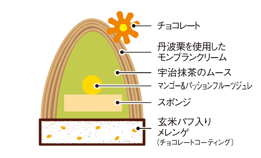抹茶/断面図