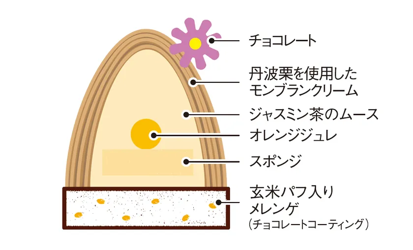 ジャスミン茶/断面図