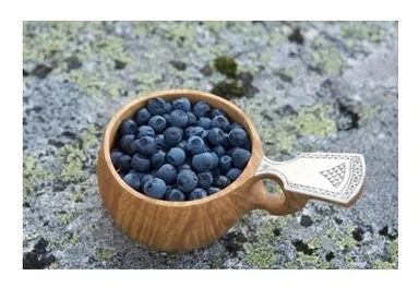 ビルベリー 素材