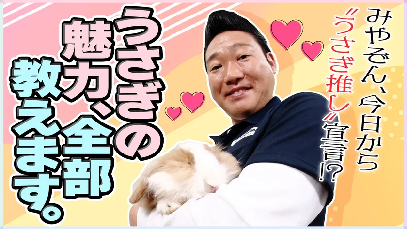 うさぎの魅力、全部教えます。
