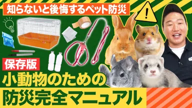小動物のための防災完全マニュアル(3)