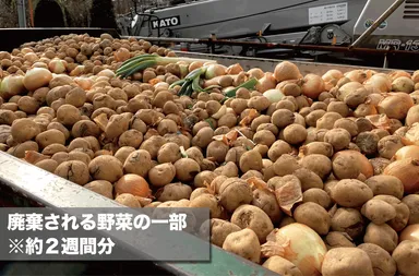 廃棄される野菜2週間分