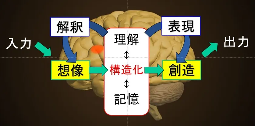 図1. 言語野における読むこと(入力)と書くこと(出力)の関連性(酒井 邦嘉著 『デジタル脳クライシス』 朝日新書、2024年、pp.87-90参照)