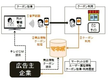 テレビCM広告主の「マネポ」活用イメージ