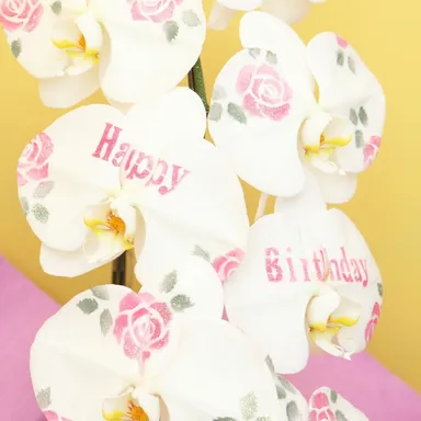 化粧蘭(文字入り)