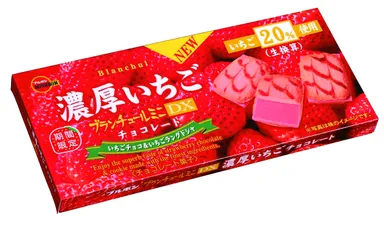 ブランチュールミニDX濃厚いちごチョコレート