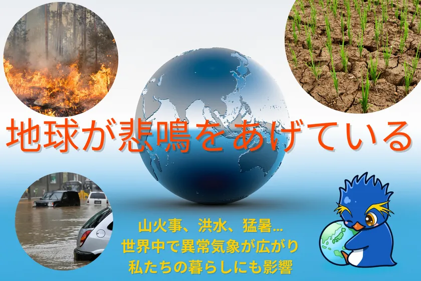 世界の災害