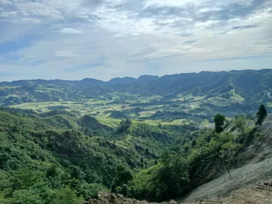 植林予定地の一部