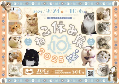 キービジュアル(横)