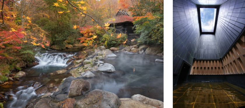 「絶景！紅葉」「気絶するほど感動する」宿