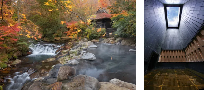 「絶景!紅葉」「気絶するほど感動する」宿