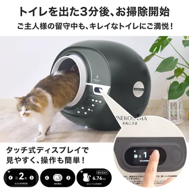 ディスプレイと基本操作