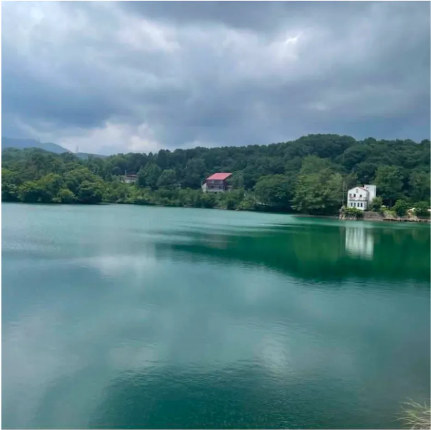 桜ヶ池公園