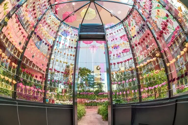 チューリップ四季彩館