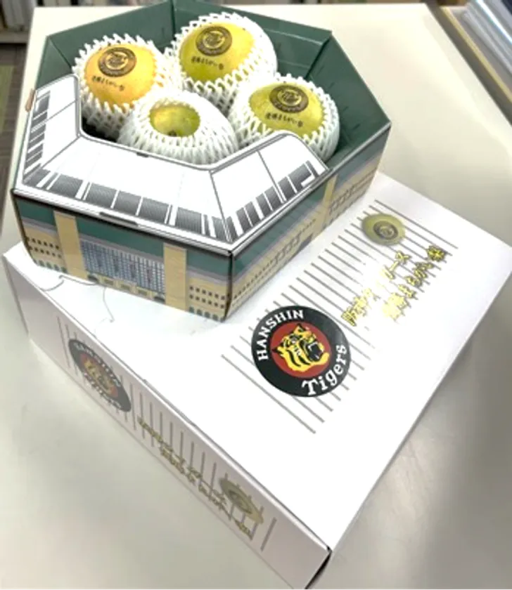 甲子園球場プレミアムケース