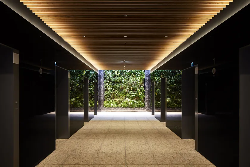 インテリアには植栽や天然木材を採用(1階 エレベーターホール)