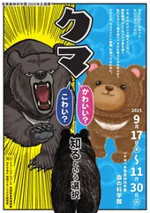 チラシ表