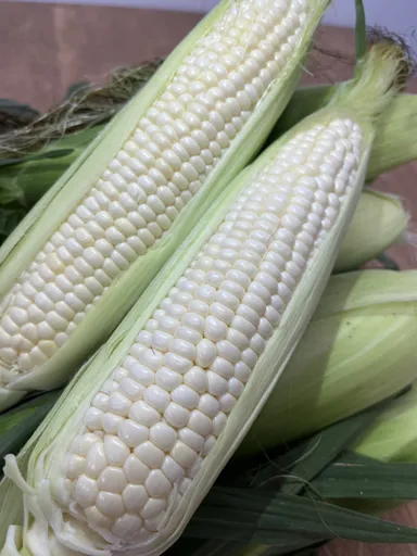 【AIRDO】ピュアホワイト