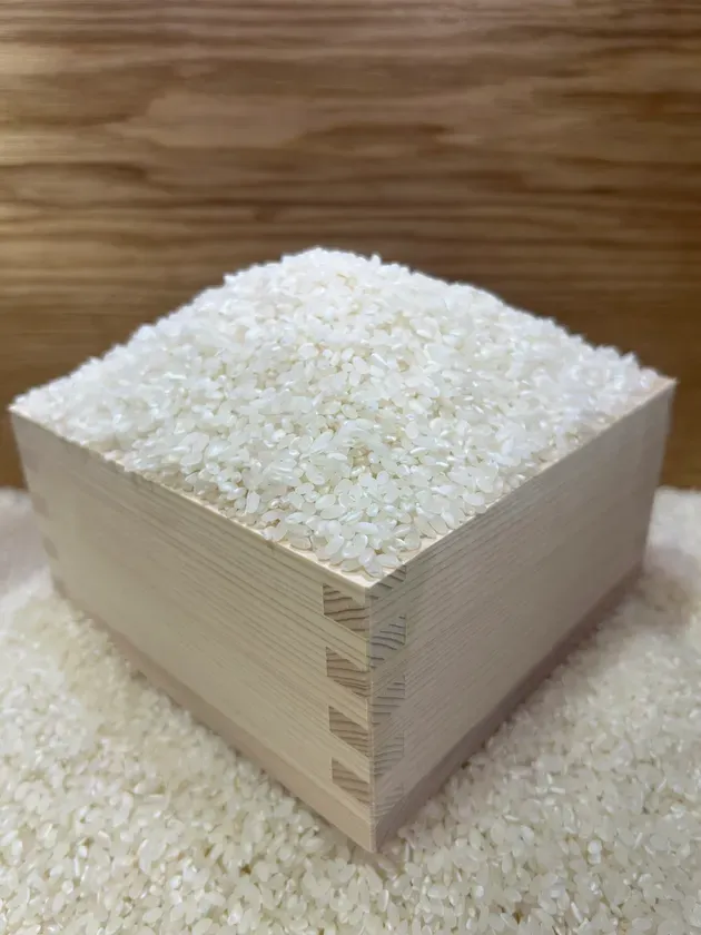 収穫の新米すくい