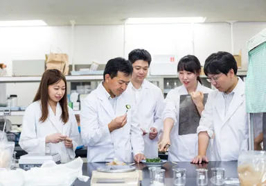 ぬかどこ開発風景