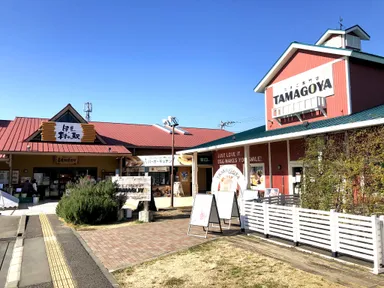伊豆・村の駅について