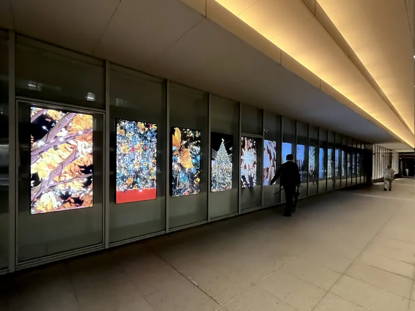 展示例:御茶ノ水ソラシティのクリスマス