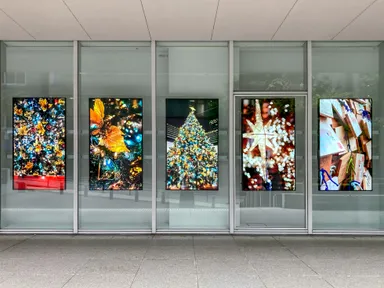 展示例：御茶ノ水ソラシティのクリスマス(昼)