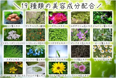19種類の自然由来成分