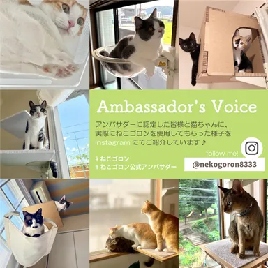 Instagramをチェック