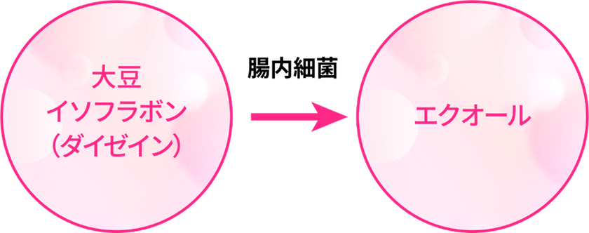 エクオール産生菌といわれる菌がいるかどうかがわかる「エクオールカテゴリー」