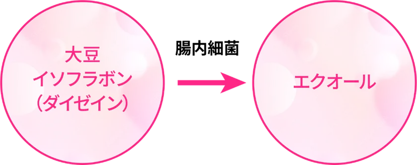 エクオール産生菌といわれる菌がいるかどうかがわかる「エクオールカテゴリー」