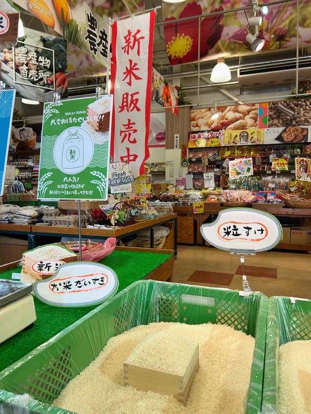 千葉県産『粒すけ』の盛り放題