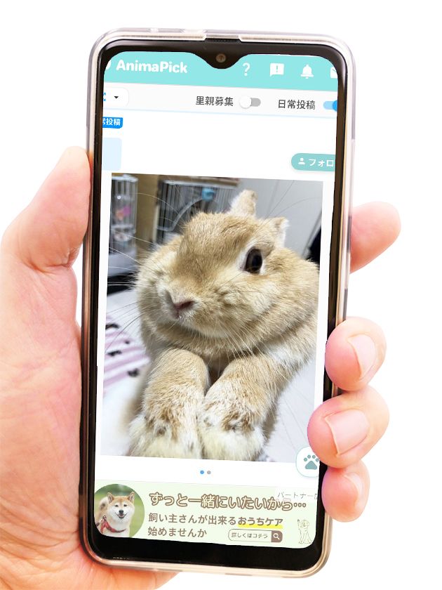 画像1